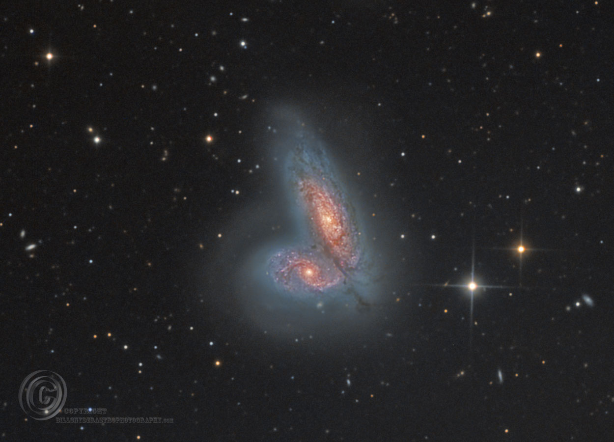 NGC 4567 and NGC 4568 (Siamese Twin Galaxies) - Image Courtesy of Bill Snyder