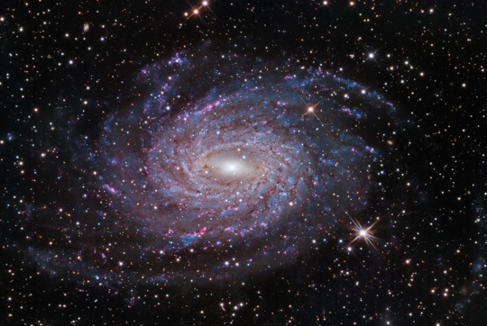 NGC 6744 in Pavo - Image Courtesy of Warren Keller, Steve Mazlin, Steve Menaker and Jack Harvey.