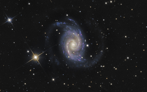 NGC1566 with a Supernova - Image Courtesy of Steve Crouch