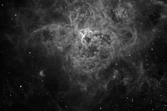 The Tarantula Nebula in Hydrogen Alpha - Image Courtesy of Steve Crouch