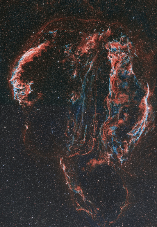 Widefield mosaic of the Veil Nebula - Image Courtesy of Sara Wager