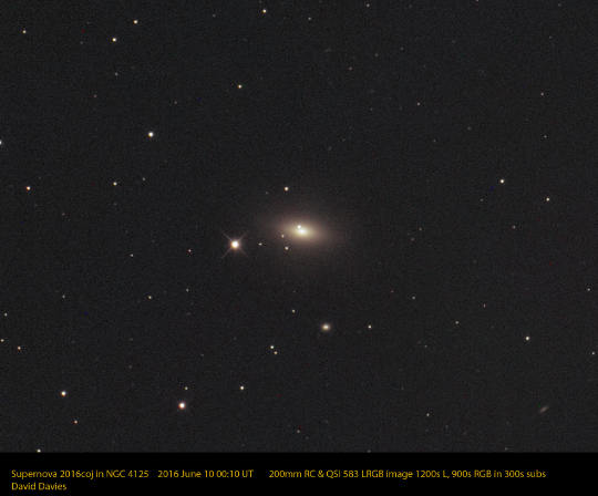 Image of Supernova SN2016coj in Galaxy NGC4125 by David Davies