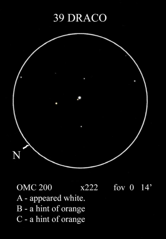 Double star 39 Draconis sketched by Mike Wood