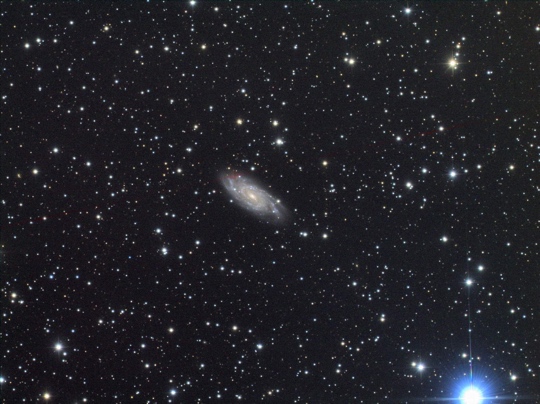 NGC6118 - Image Courtesy of Norma Rose Observatory, Queensland, Australia