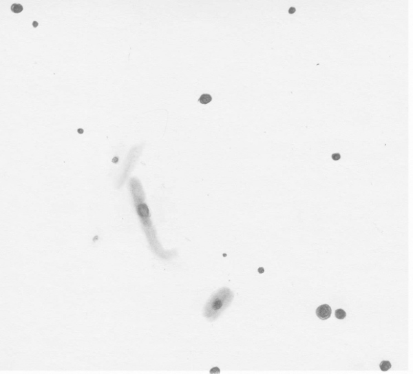 Sketch of Arp 290 by Dale Holt from his Chippingdale observatory in Hertfordshire