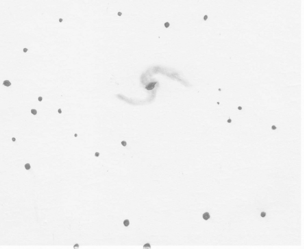 Sketch of Arp 31 by Dale Holt from his Chippingdale observatory in Hertfordshire