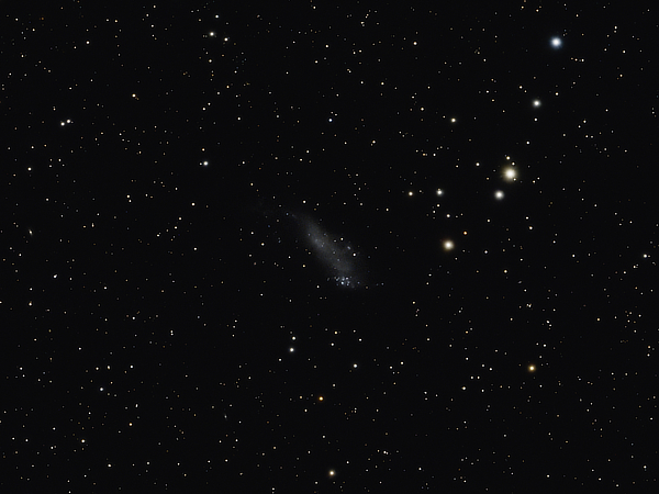 IC 2574 in Ursa Major - Image Courtesy of David Davies