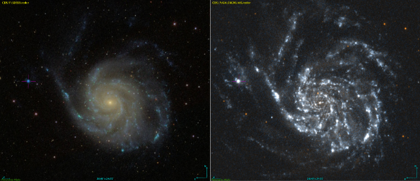 NGC 5471 in crosshairs near M101 - Image Courtesy Sloan Digital Sky Survey and GALEX NGC 5471 in crosshairs near M101 - Image Courtesy Sloan Digital Sky Survey and GALEX