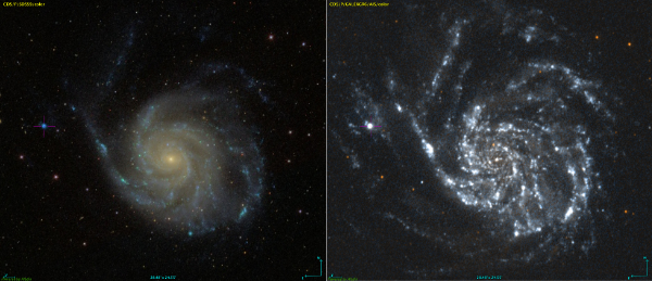 NGC 5471 in crosshairs near M101 - Image Courtesy Sloan Digital Sky Survey and GALEX