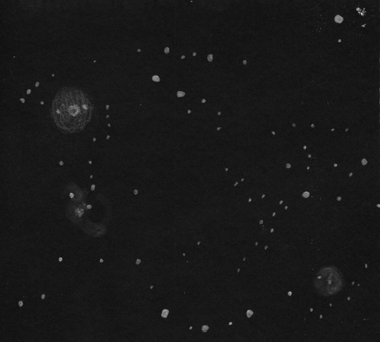 NGC 2275 Group - Sketch Courtesy of Dale Holt