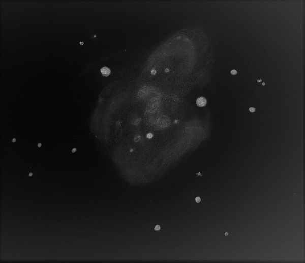 An EAA pencil sketch of NGC 2283 that's been reversed by Dale Holt