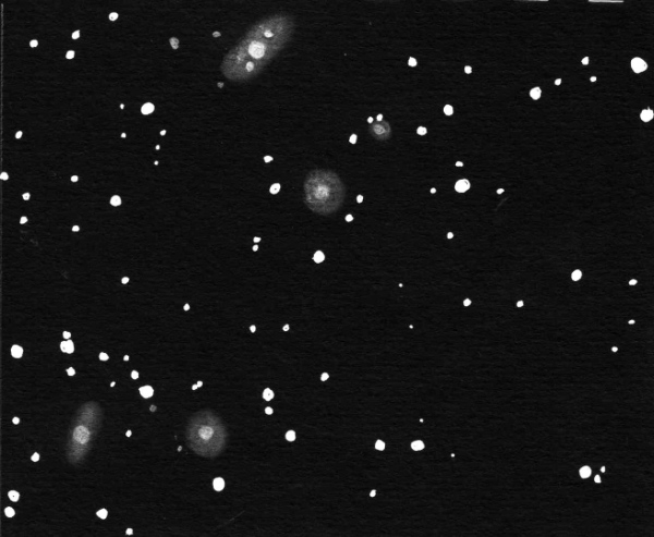 Sketch of NGC 2289 galaxy group and NGC 2486 in Gemini by Dale Holt from his Chippingdale observatory in Hertfordshire