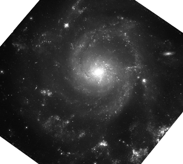 NGC 2805 (combined) ACS/WFC detection image from Hubble Space Telescope NGC 2805 (combined) ACS/WFC detection image from Hubble Space Telescope