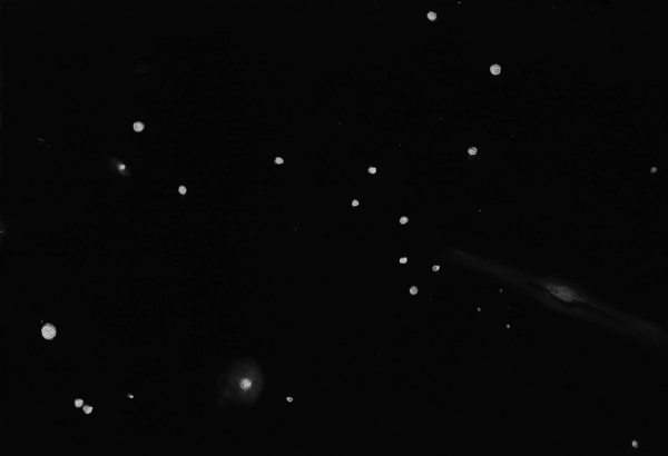An EAA sketch of the trio of NGC 678, NGC 680 and IC 1730 by Dale Holt
