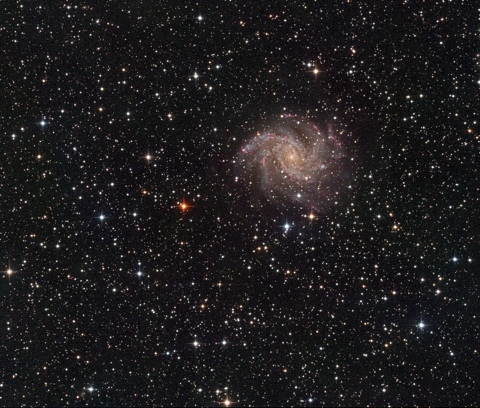 NGC6946 - Image Courtesy of David Davies