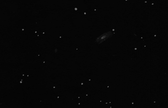 NGC 7010 - Sketch Courtesy of Dale Holt