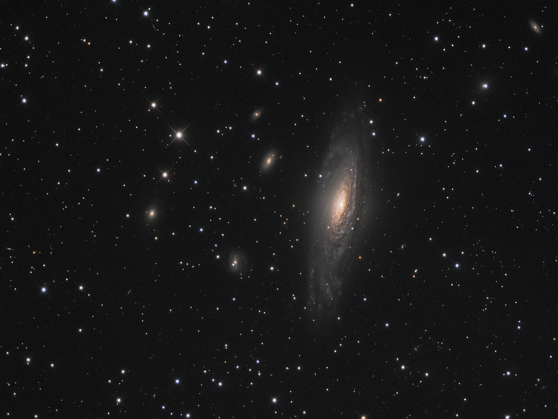Galaxy NGC 7331 in Pegasus courtesy of David Davies