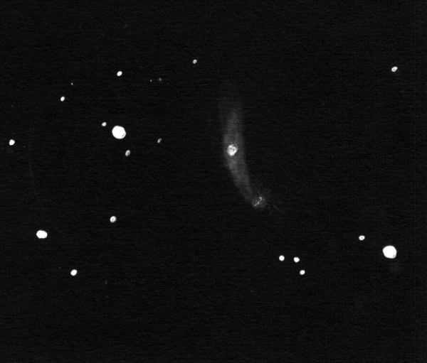 Sketch of NGC7448 by Dale Holt