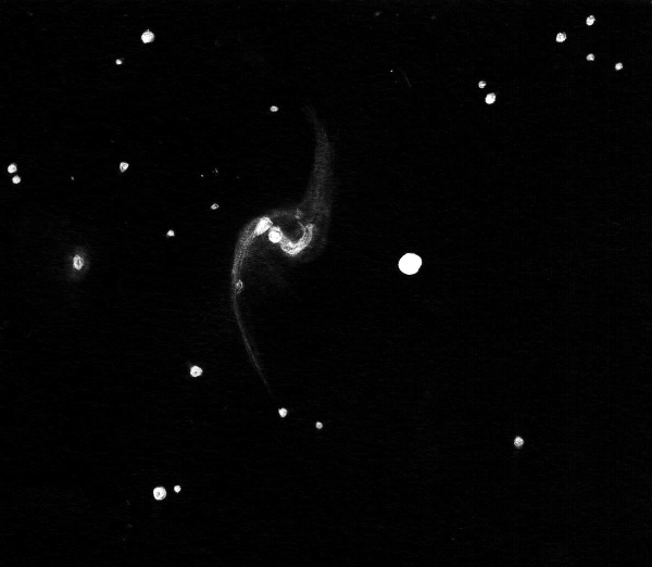 Sketch of NGC7549 by Dale Holt