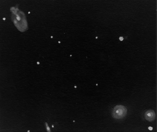 An EAA pencil sketch of the NGC 7778 galaxy group by Dale Holt