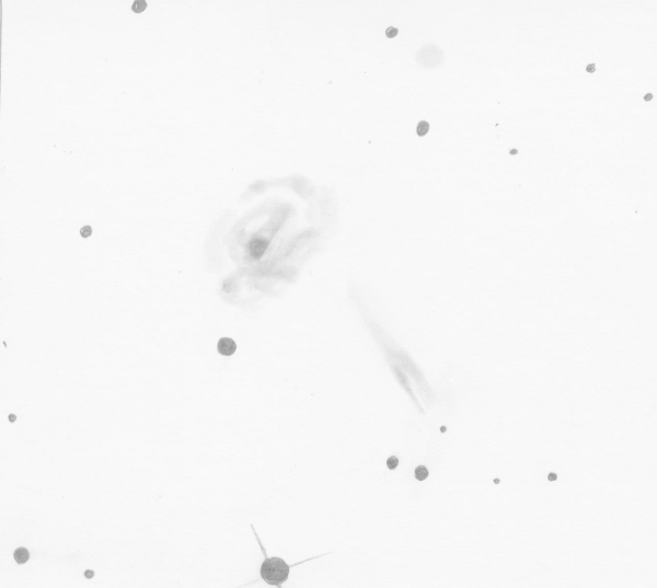 Sketch of NGC 877 by Dale Holt from his Chippingdale observatory in Hertfordshire