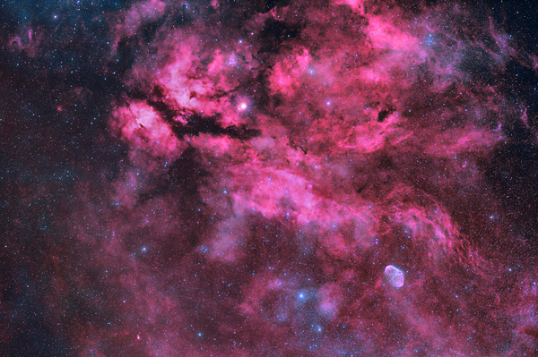Wide angle image of IC 1318 (the Gamma Cygni Nebula) by David Ratledge