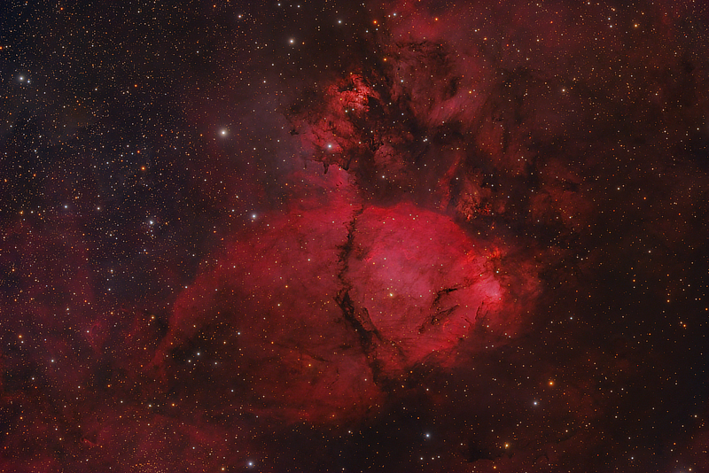 An image of the emission nebula IC 1795 (Fish Head Nebula) in Cassiopeia courtesy of Bernhard Hubl