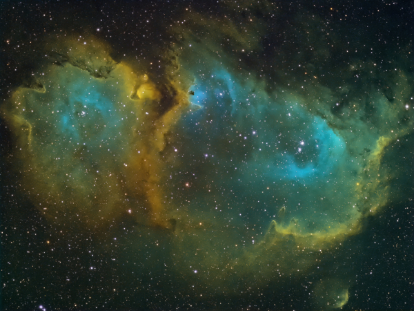 The Soul Nebula (IC 1848) in Cassiopeia - Image Courtesy of David Davies