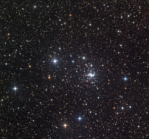 An image of open cluster IC 4996 in Cygnus provided by Stefan Binnewies and Josef Pöpsel (Capella Observatory) An image of open cluster IC 4996 in Cygnus provided by Stefan Binnewies and Josef Pöpsel (Capella Observatory)