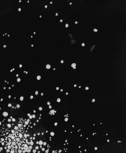 Sketch of a group of faint galaxies near M12 by Dale Holt