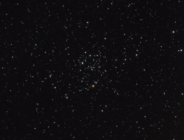 Messier 50 - Image Courtesy of David Davies