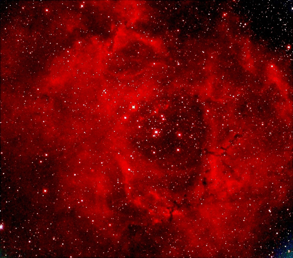 Image of the Rosette nebula (NGC 2237) by Richard Weatherley from Northampton