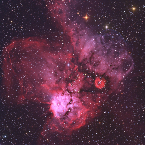NGC 2467 Nebula in Puppis - Image Courtesy of Don Goldman (Astrodon Imaging)