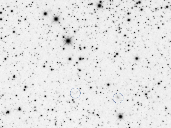 A selection of faint galaxies near NGC457 - Image Courtesy of David Davies